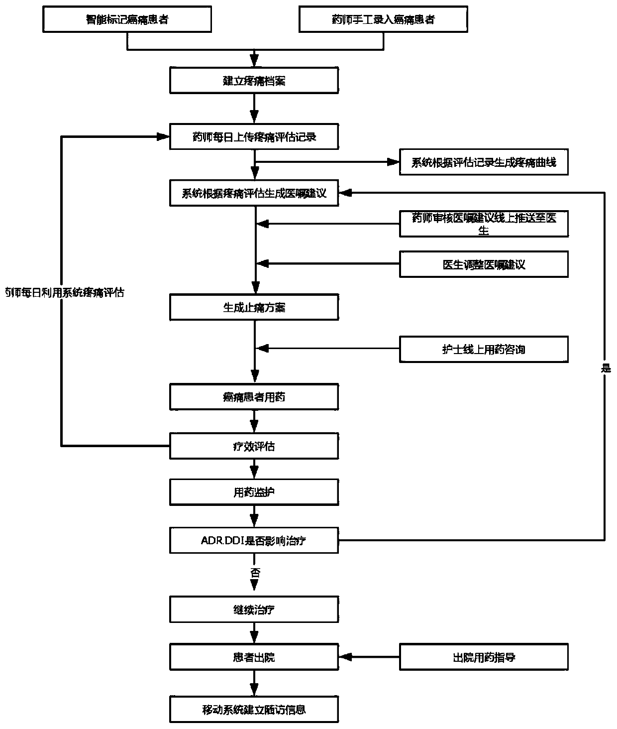 Cancer pain treatment management system