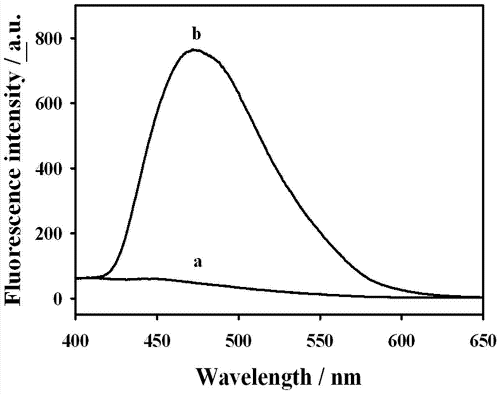 Fluorescent copper nano-particles for polyadenylic purine DNA template, as well as preparation method and application thereof