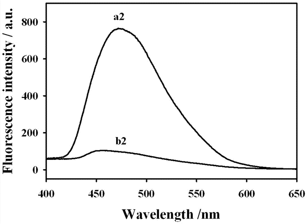 Fluorescent copper nano-particles for polyadenylic purine DNA template, as well as preparation method and application thereof