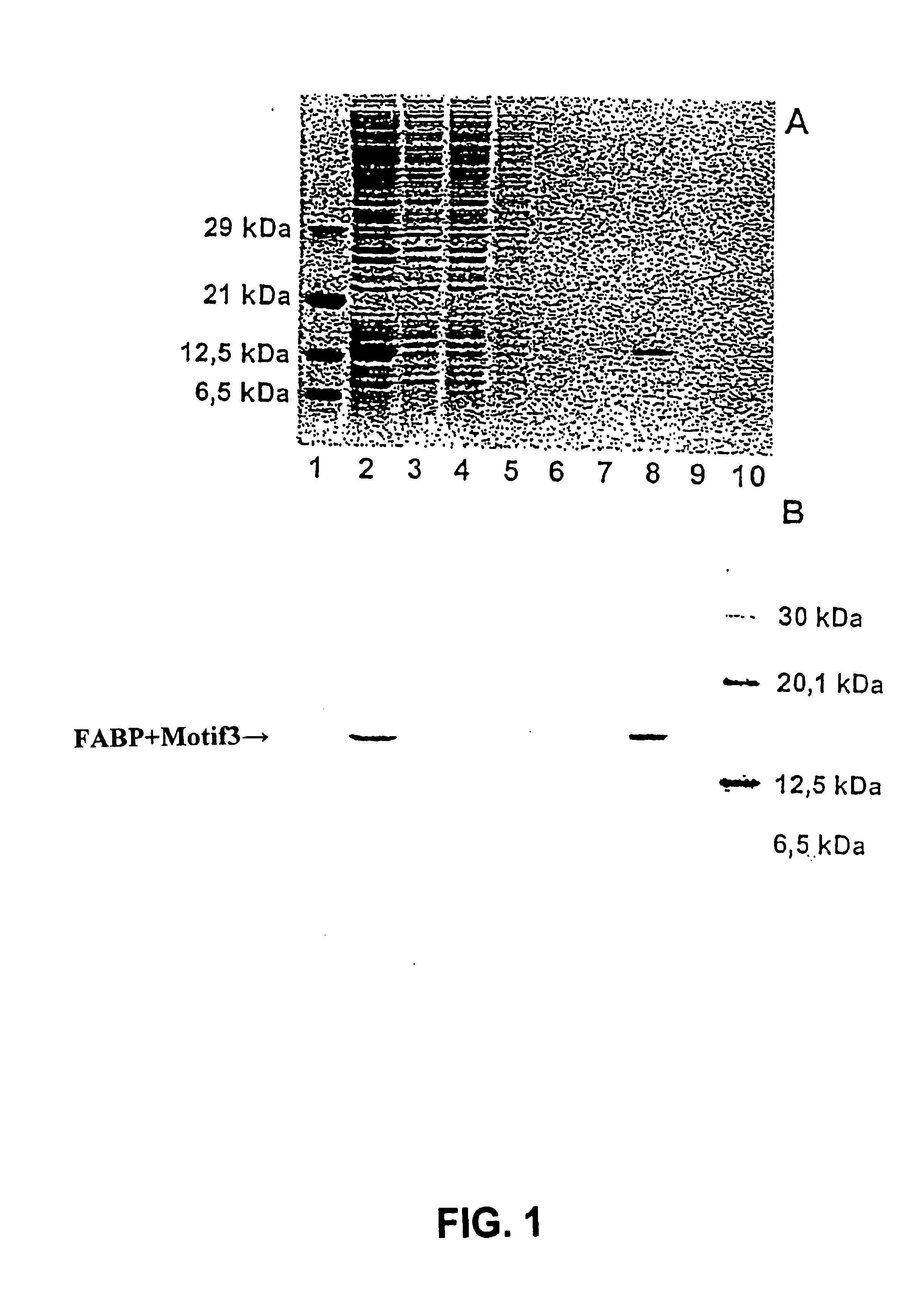 Streptavidin-binding peptide