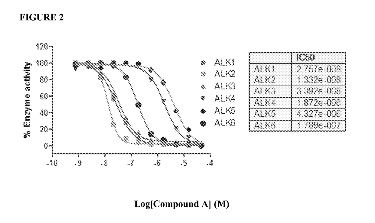 Compositions and Methods for Inhibiting BMP