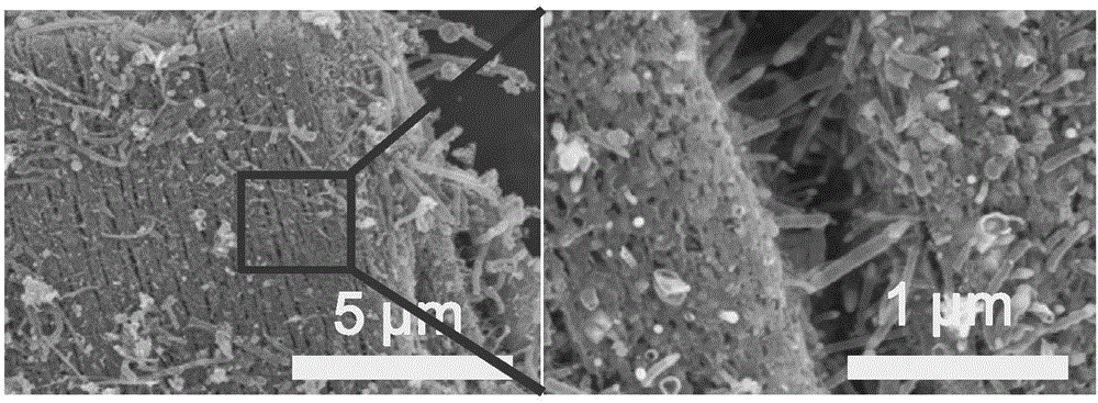 Fe-N-C oxygen reduction catalyst and synthesizing method and application thereof