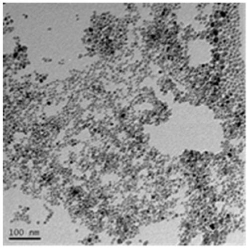 Magnetic composite nano material and preparation method and application thereof