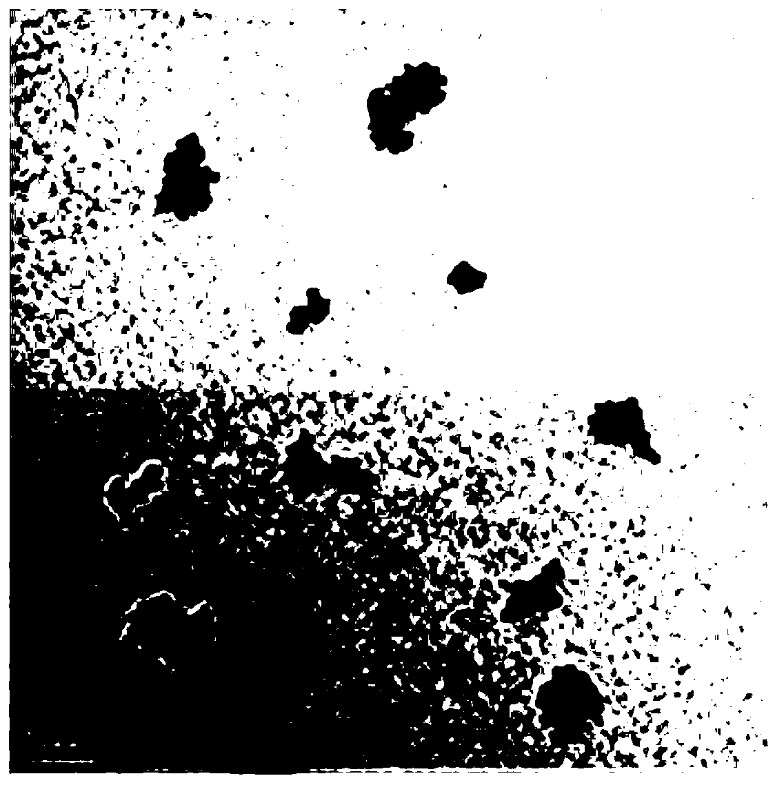 Magnetic composite nano material and preparation method and application thereof