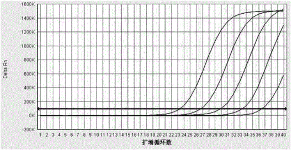 Ternary fluorescence RT-PCR detection kit of avian influenza virus, new castle disease virus and infectious bronchitis virus, primers and probes