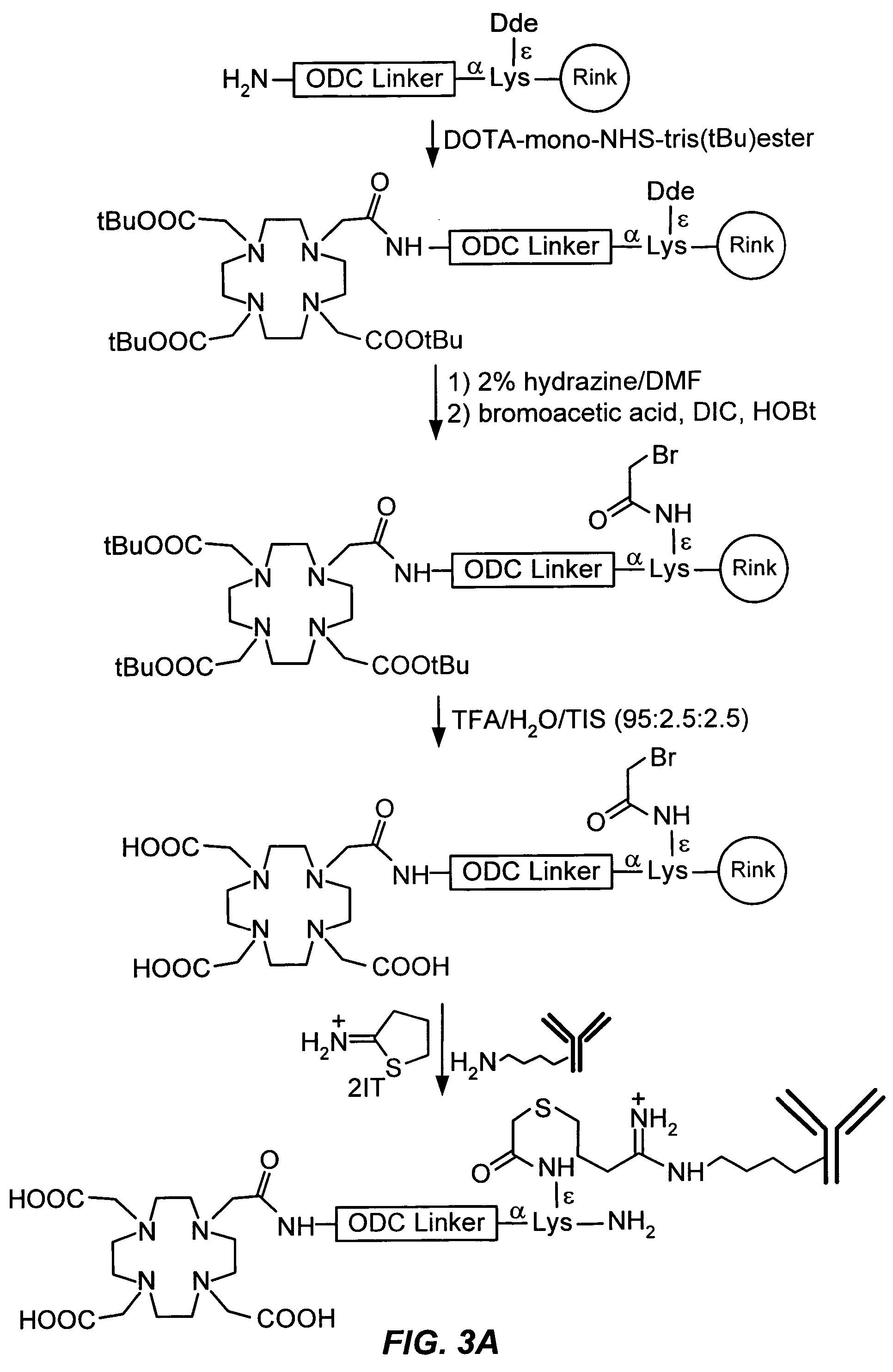 On-demand cleavable linkers for radioconjugates for cancer imaging and therapy