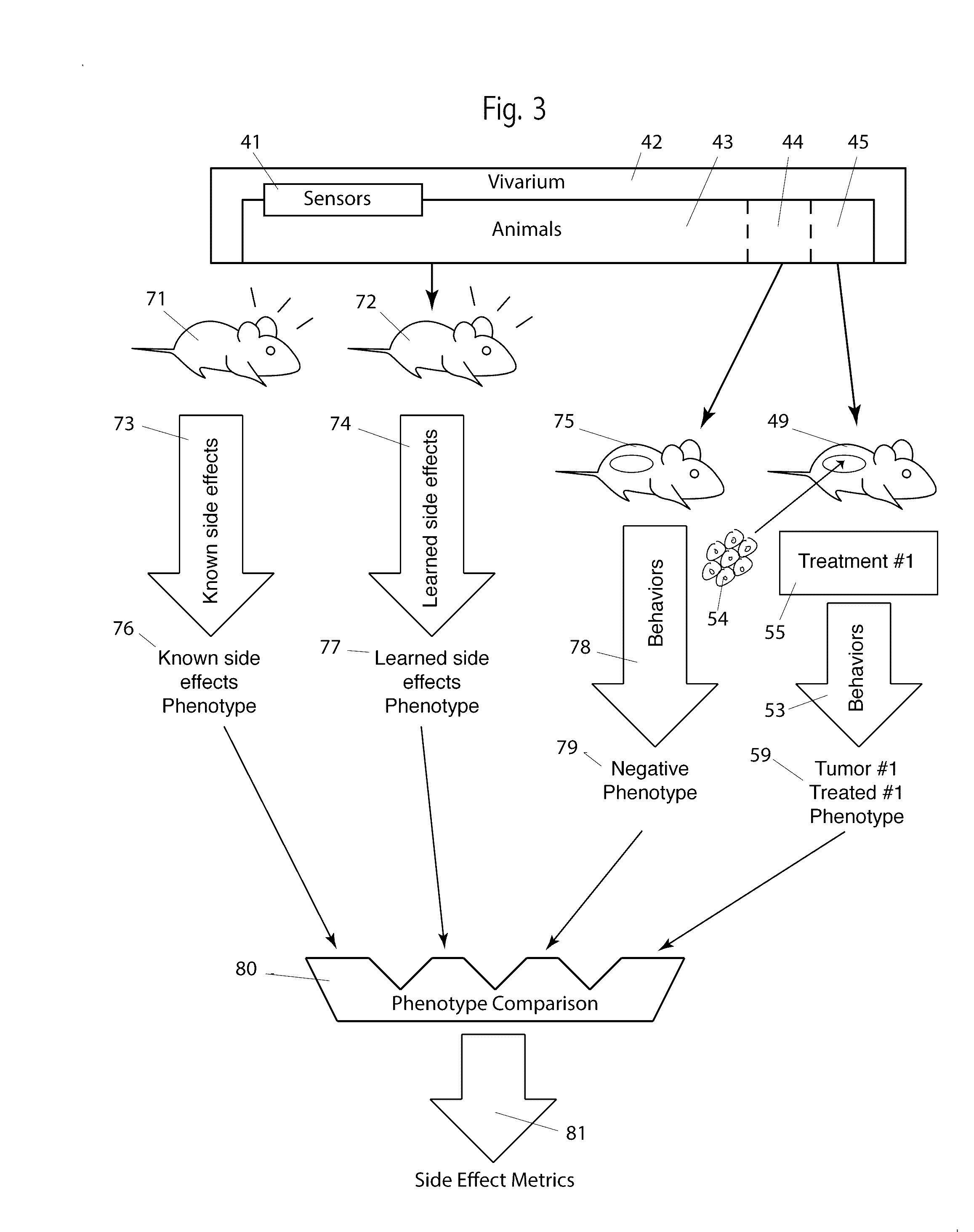 System and method of measuring efficacy of cancer therapeutics