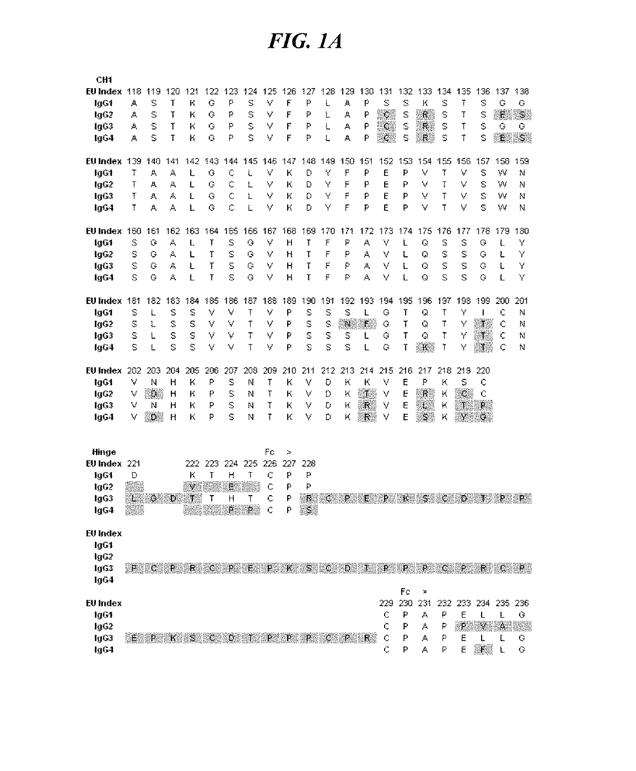 Method of treating cancer with a multiple integrin binding Fc fusion protein