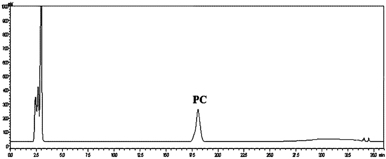 Egg yolk phosphatidyl choline preparation method based on low-pressure column chromatography