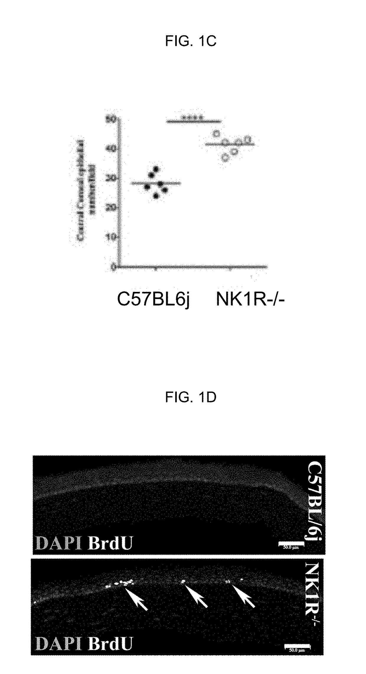 Neurokinin 1 receptor agonist mediated protection of the eye