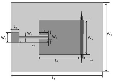 Graphene-based optical carrier microwave antenna