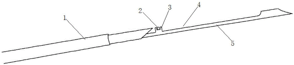 Mechanism capable of marking tumor boundary used for biopsy needle