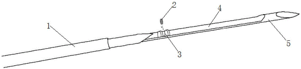 Mechanism capable of marking tumor boundary used for biopsy needle