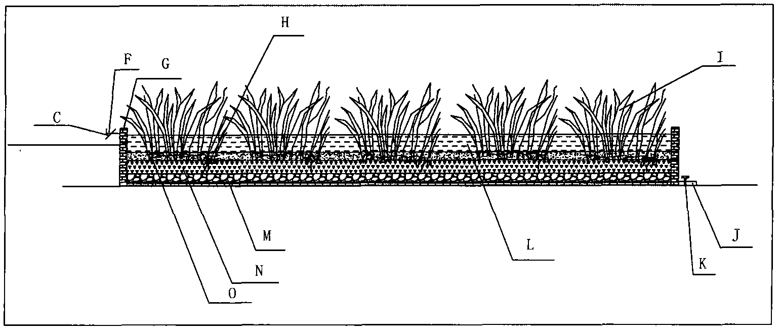 Purifying functional wetland plant screening pool