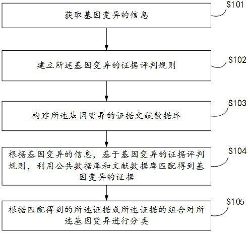 An automatic classification method, device and electronic device for gene variation