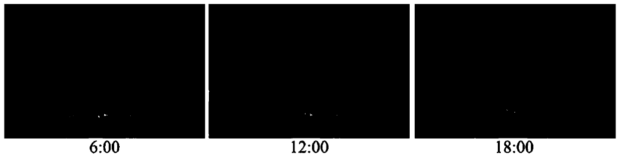 A method for identifying temperature-sensitive properties of cotton cleistopollination materials