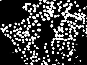 Preparation method for fat-soluble phtosensitizer nanoparticles and application thereof