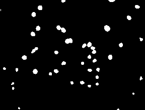 Preparation method for fat-soluble phtosensitizer nanoparticles and application thereof