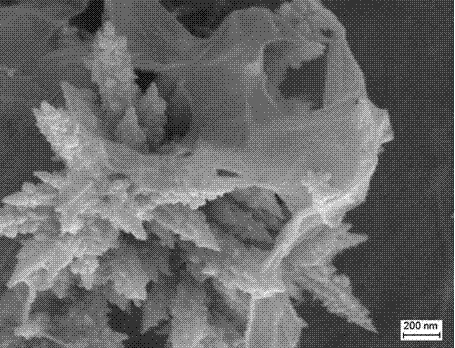 Preparation method of CdS/GO composite material with three-dimensional flowerlike nanostructure