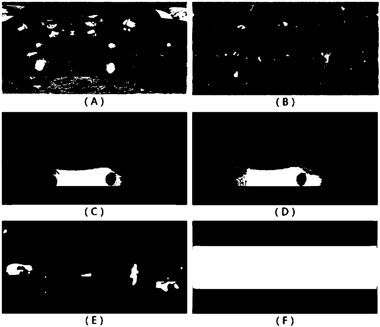 A panoramic video evaluation method and system based on multi-level quality factors