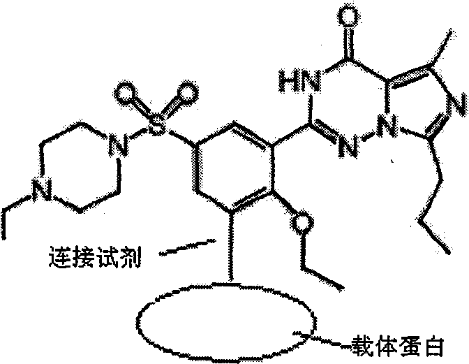 Preparation method for monoclonal antibody specifically binding vardenafil and analog thereof