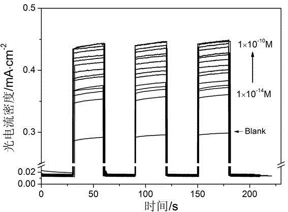 Photoelectric analysis method of benzopyrene through in-situ molecularly imprinted functionalized CdS/3DOM TiO2/BDD electrode