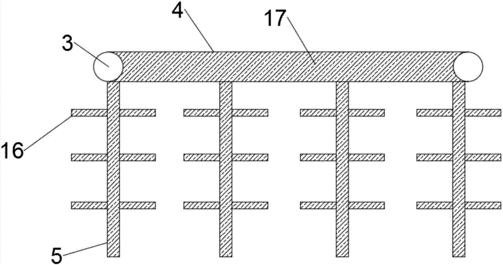 Supporting body frame of greenhouse used for planting muskmelons