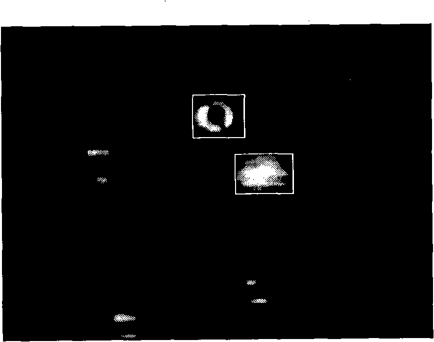 Method and device for detecting object with anomaly in motion direction