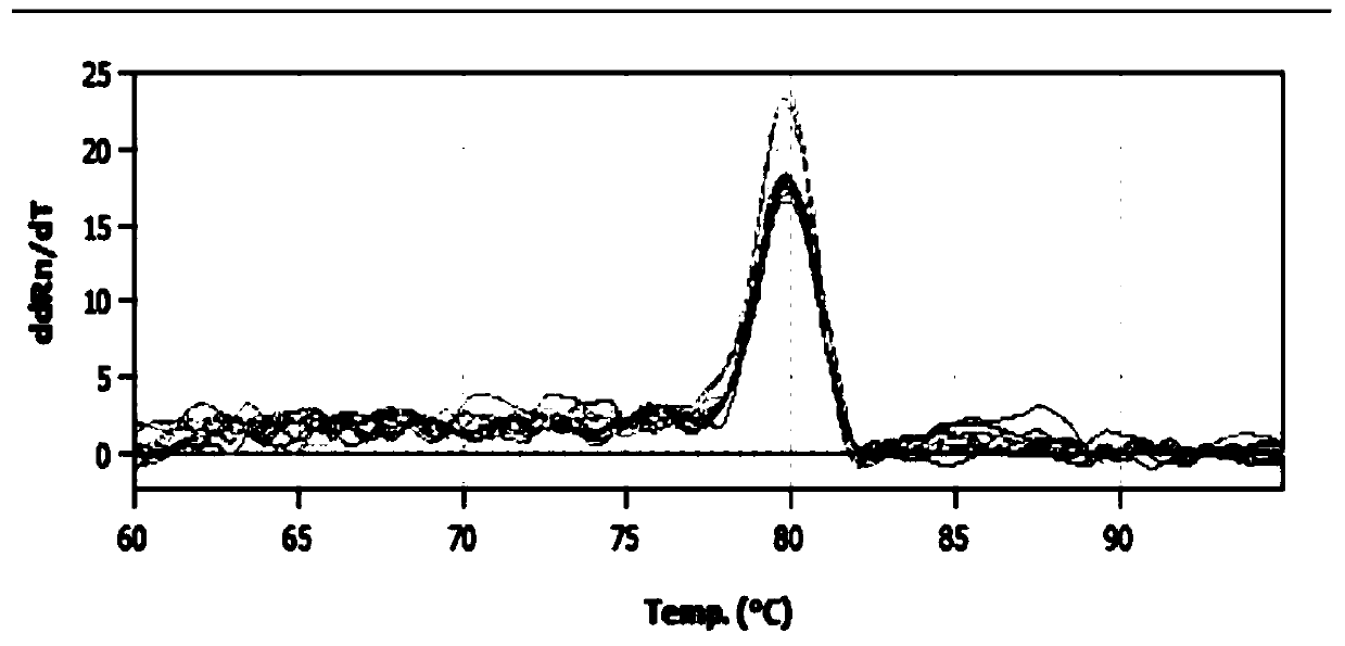 Method for detecting overwintering amount of plasmopara viticola in soil by real-time fluorescence quantitative PCR