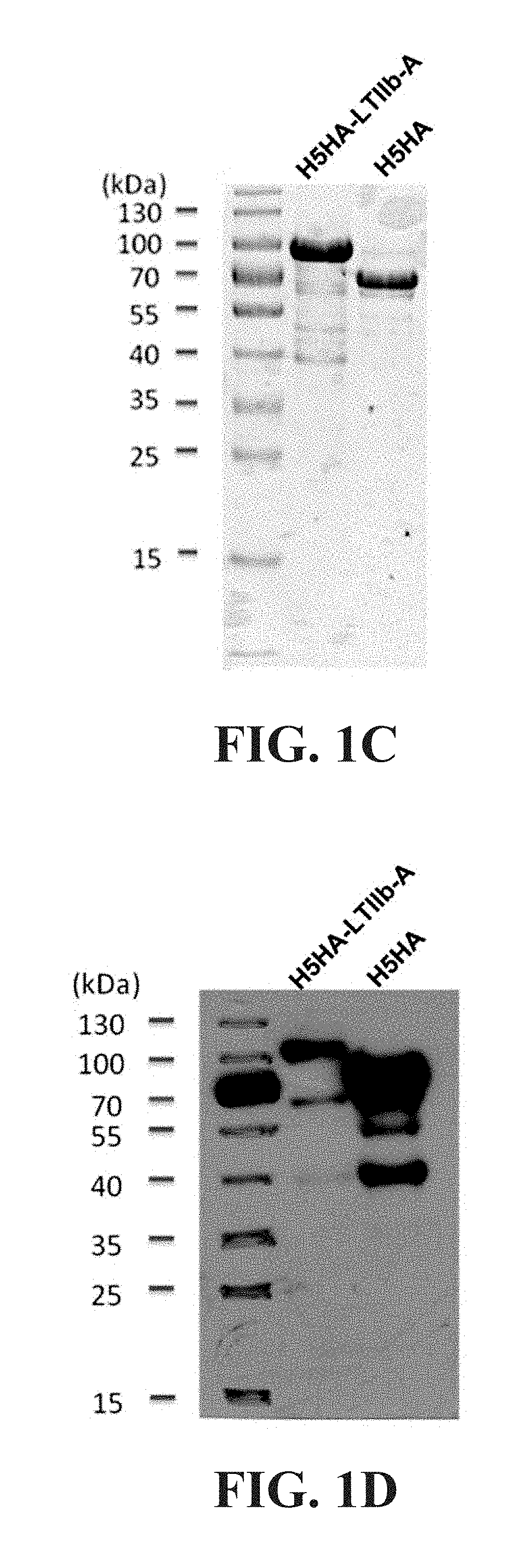 Influenza mucosal vaccine composition and preparation and application thereof