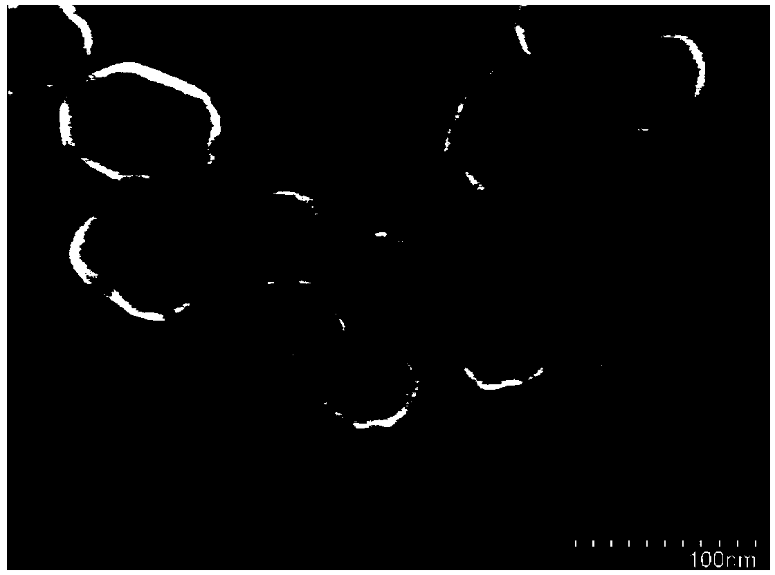 Preparation method of organic/inorganic hybrid nano fiber drug carrying microsphere