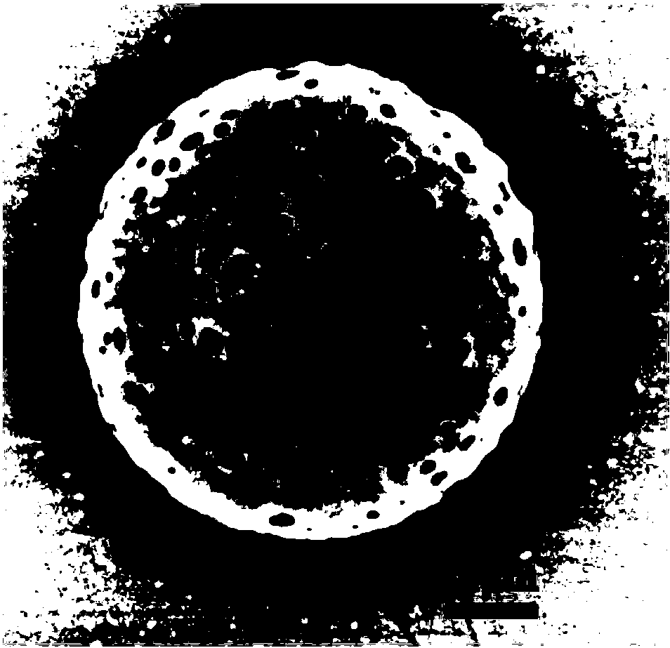 Preparation method of organic/inorganic hybrid nano fiber drug carrying microsphere