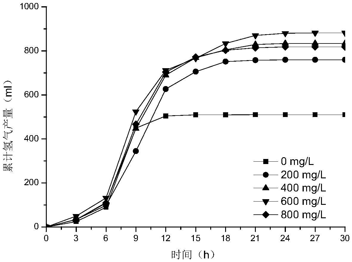 Cobalt-doped magnetic carbon and preparation method and application thereof in anaerobic digestion