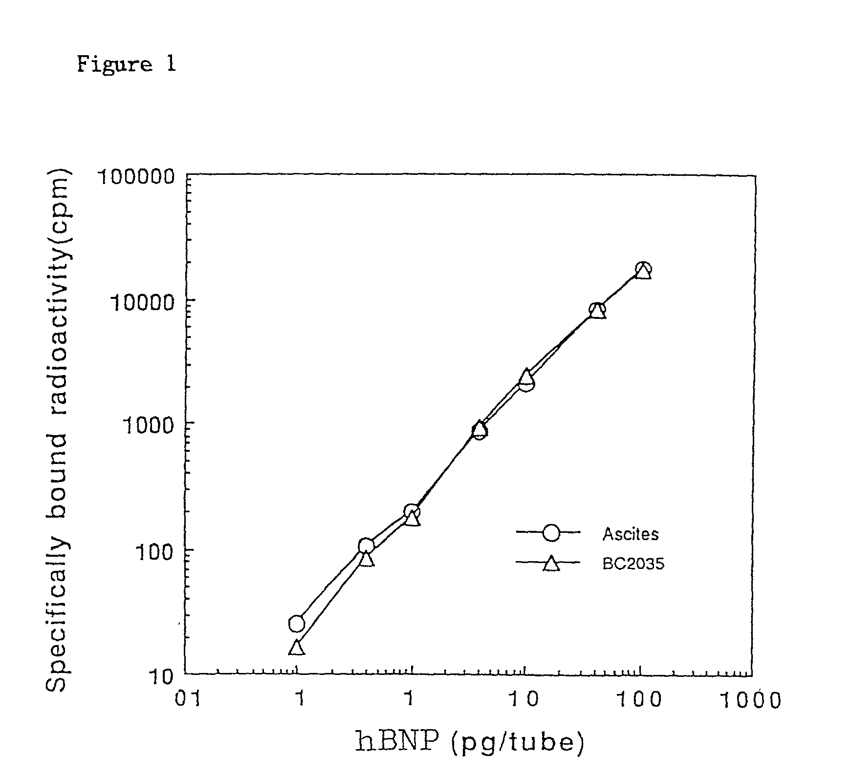 Monoclonal antibody recognizing C-terminus of hBNP