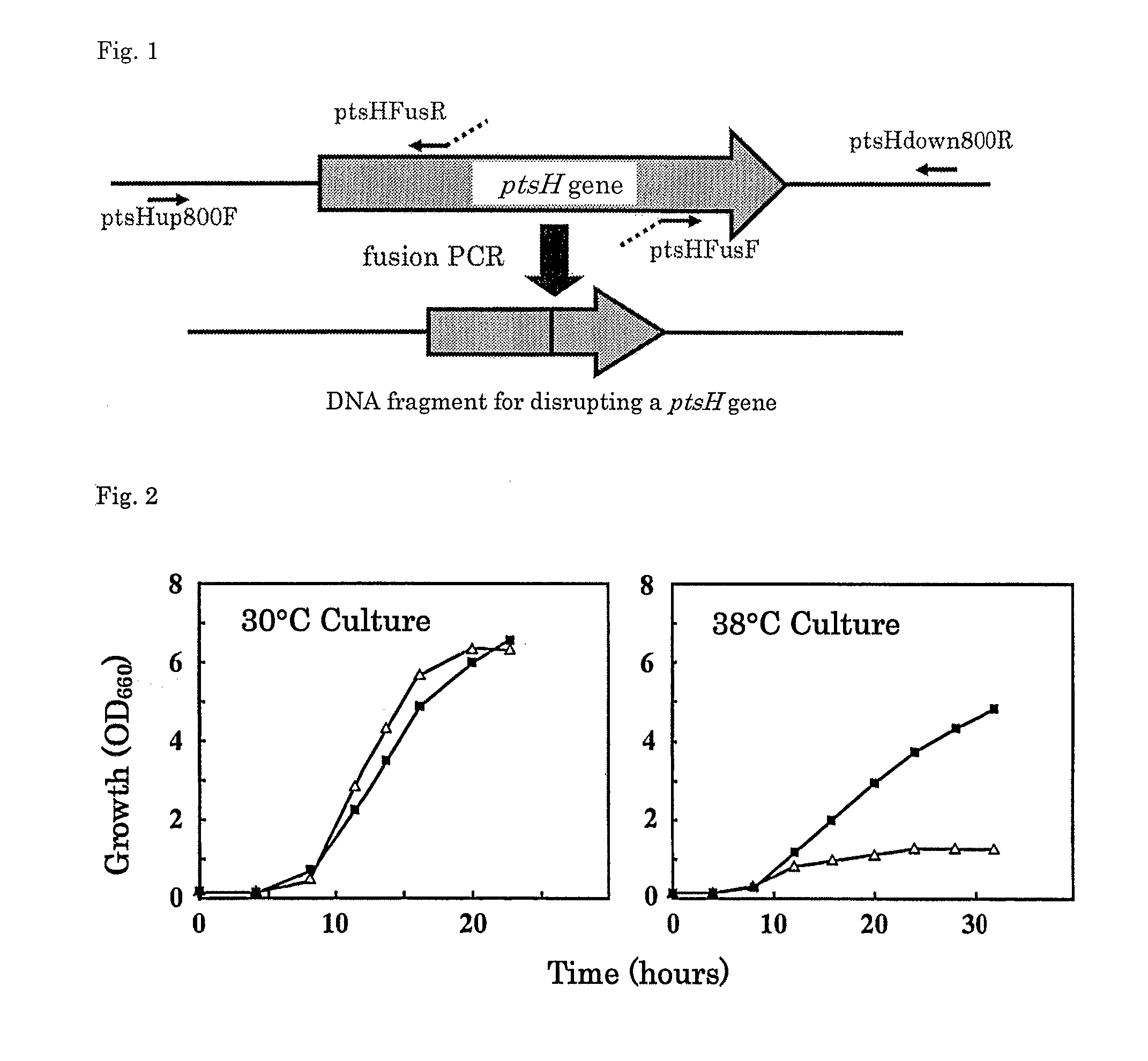 Process for producing useful substance