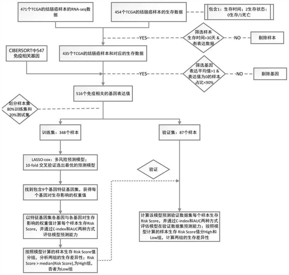 Colon cancer prognosis assessment gene set and its construction method