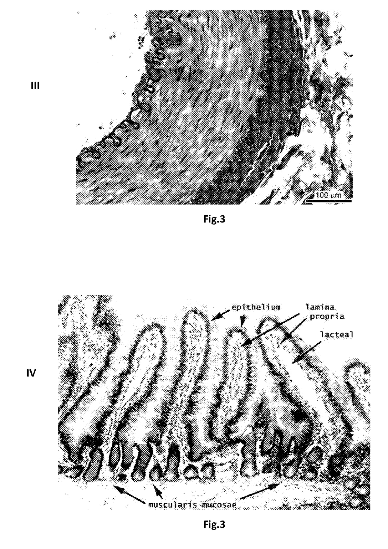 Multi-chambers bioreactor, methods and uses