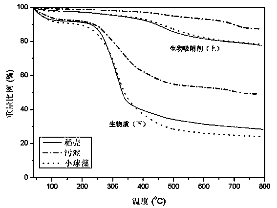 Biological adsorbent, preparation method thereof, and application thereof to removal of methylene blue dye of waste water