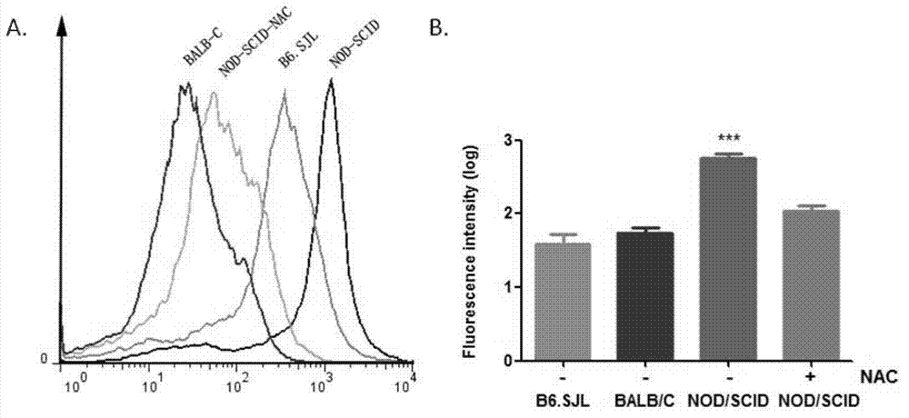 Method for constructing immunodeficiency mouse transplant model of human stem cells