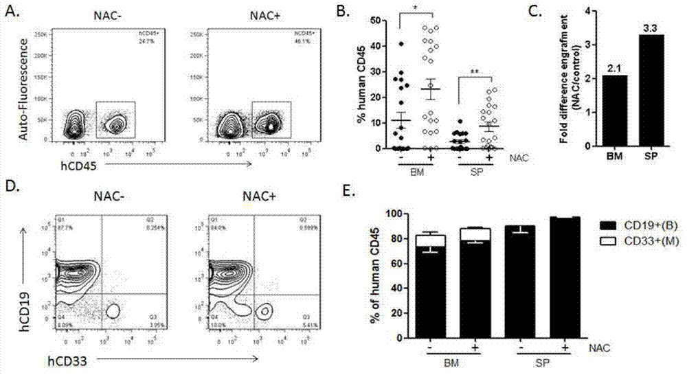 Method for constructing immunodeficiency mouse transplant model of human stem cells