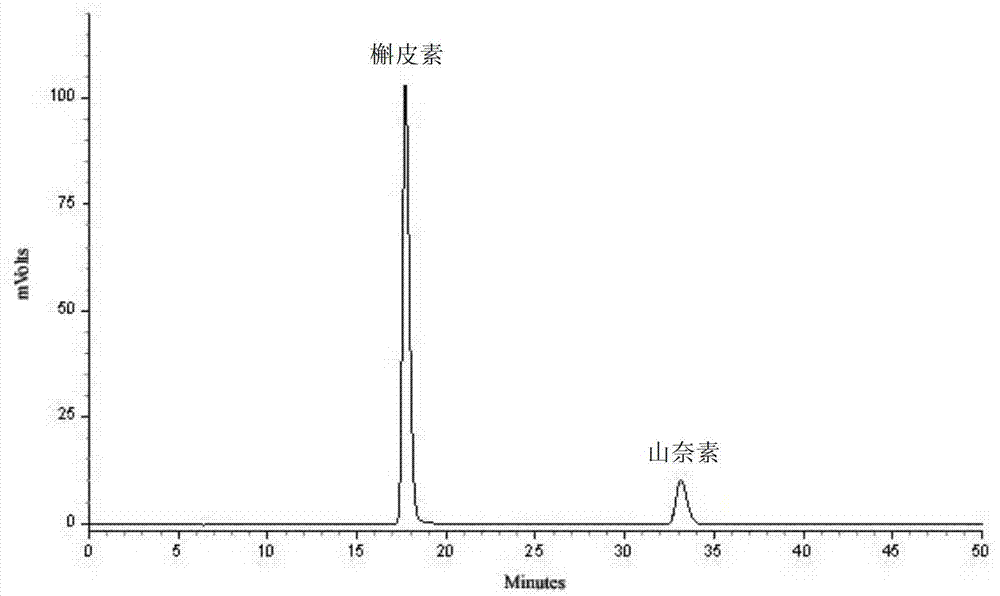 Quality detection method for tibetan medicine rhododendron anthopogonoide and tibetan medicine rhododendron anthopogonoide preparation