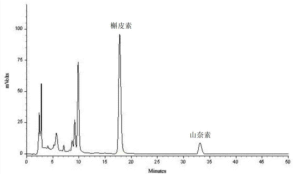 Quality detection method for tibetan medicine rhododendron anthopogonoide and tibetan medicine rhododendron anthopogonoide preparation