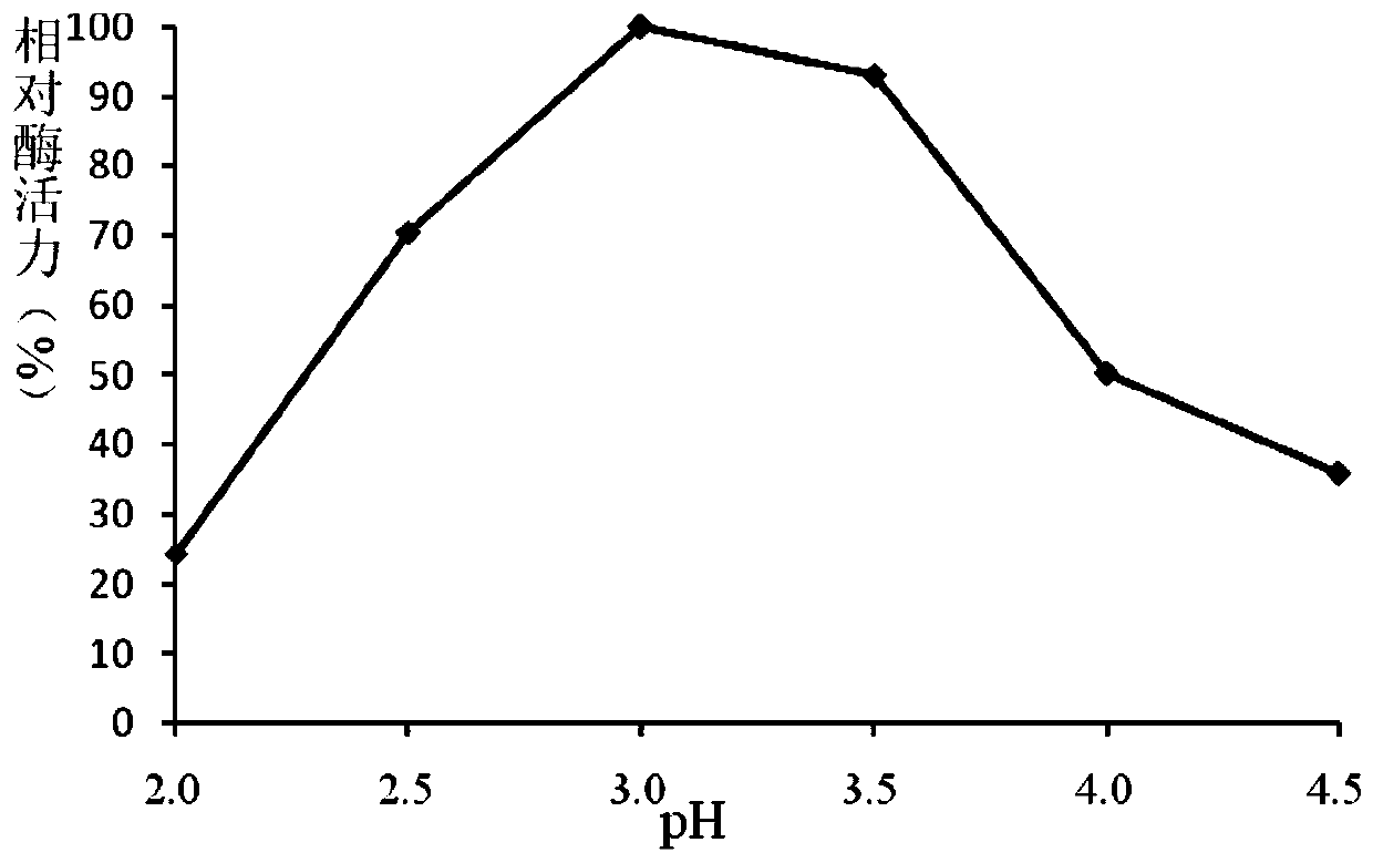 A fungus-derived acid protease g412 and its gene and application