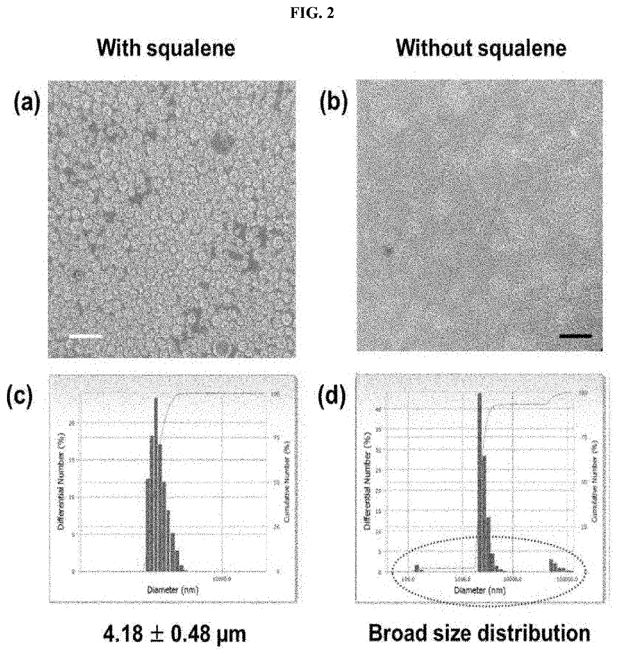 Multi-domain vesicle comprising immunoactive material, production method therefor and immunomodulatory composition comprising same