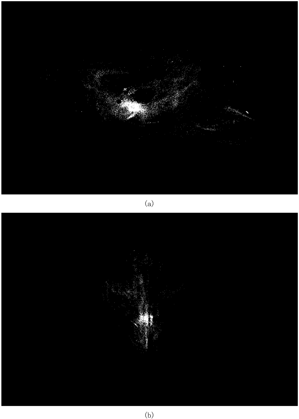 Whole-brain nerve tract projection path automatic tracking method and system