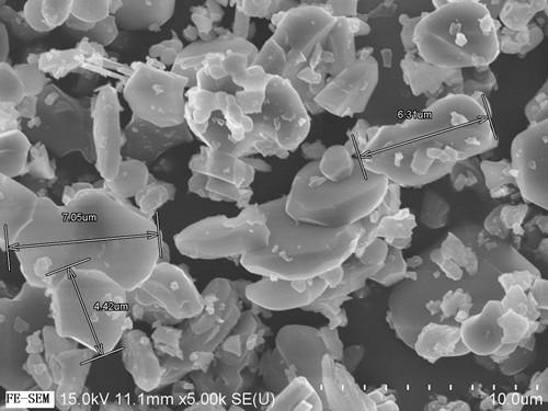 Analysis method for observing shape of powdery sample by scanning electron microscope