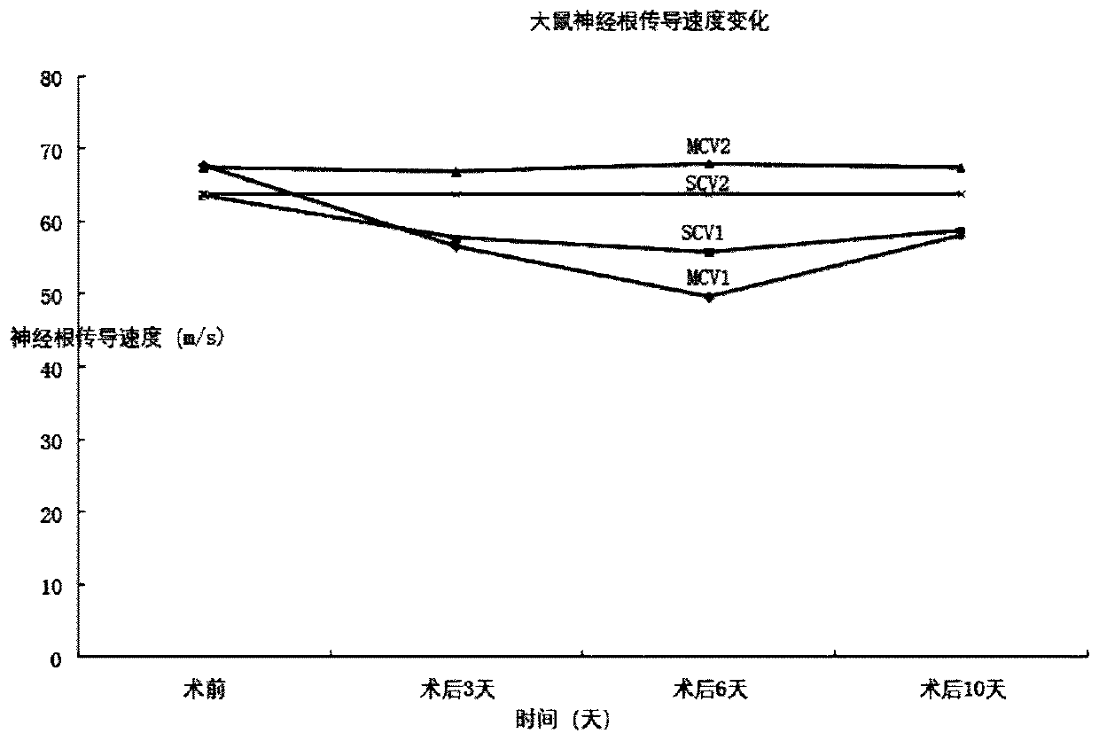 Establishment of animal model of non-compressive lumbar disc nucleus pulposus herniation