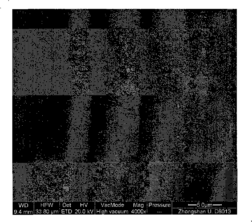 Chitosan/sheet silicate nano compound stephanoporate crosslinked microsphere sorbent and preparation method thereof