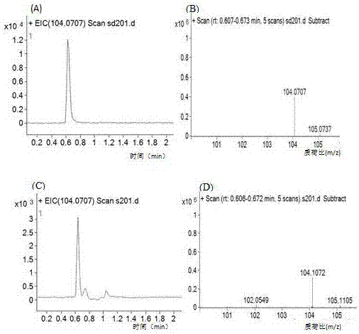 Application of Lactobacillus plantarum SG5 in gamma-aminobutyric acid