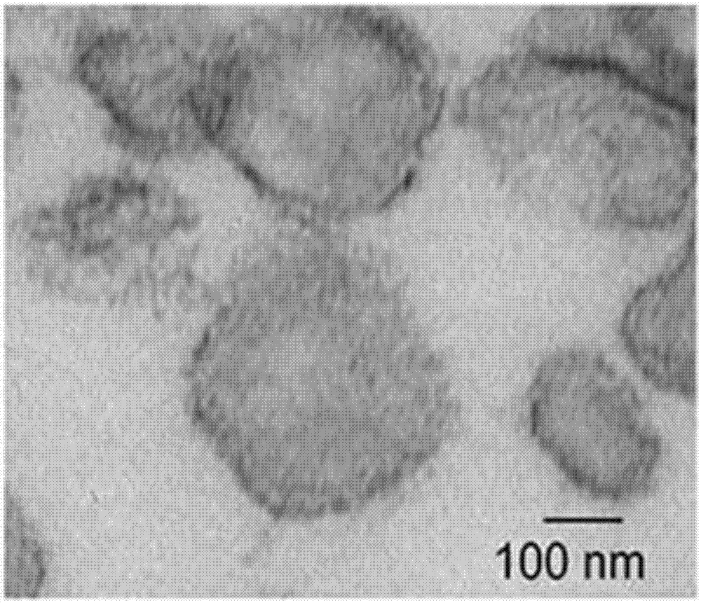 Method for inhibiting gastric cancer angiogenesis by using micro vesicles as miRNA (Micro Ribonucleic Acid) transport carriers